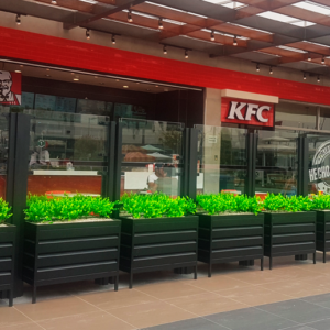KFC