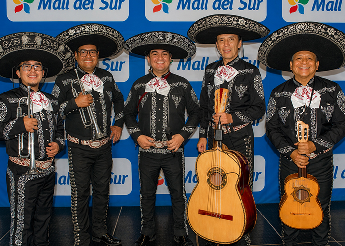 LOS MARIACHIS DEL MARIACHI