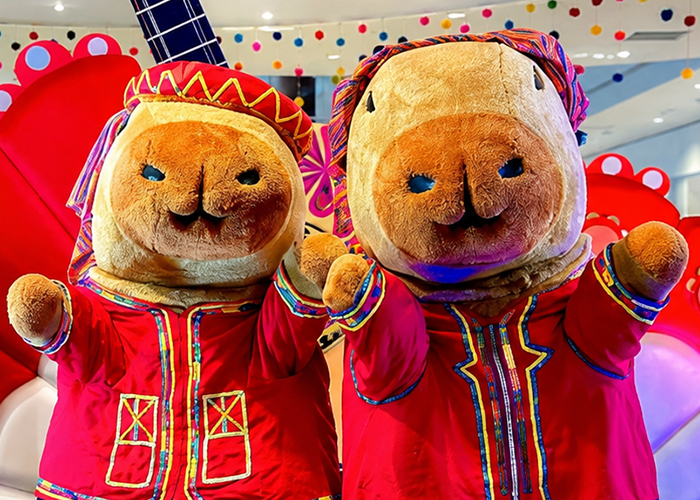 TOMA DE FOTOS DE CAPIBARAS CON TRAJES TÍPICOS